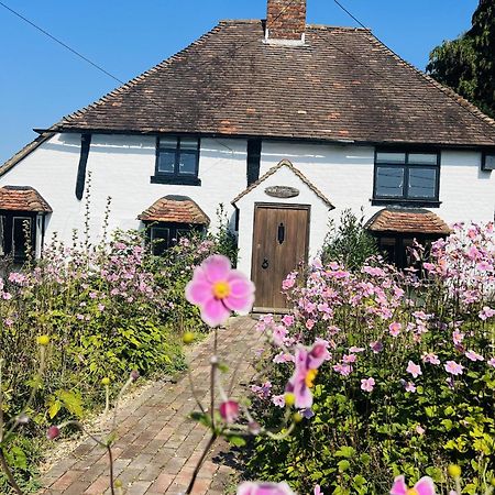 Willa Local Walks Pub Gardens Pet Friendly Landscaped Gardens And Free Private Parking Doddington  Zewnętrze zdjęcie