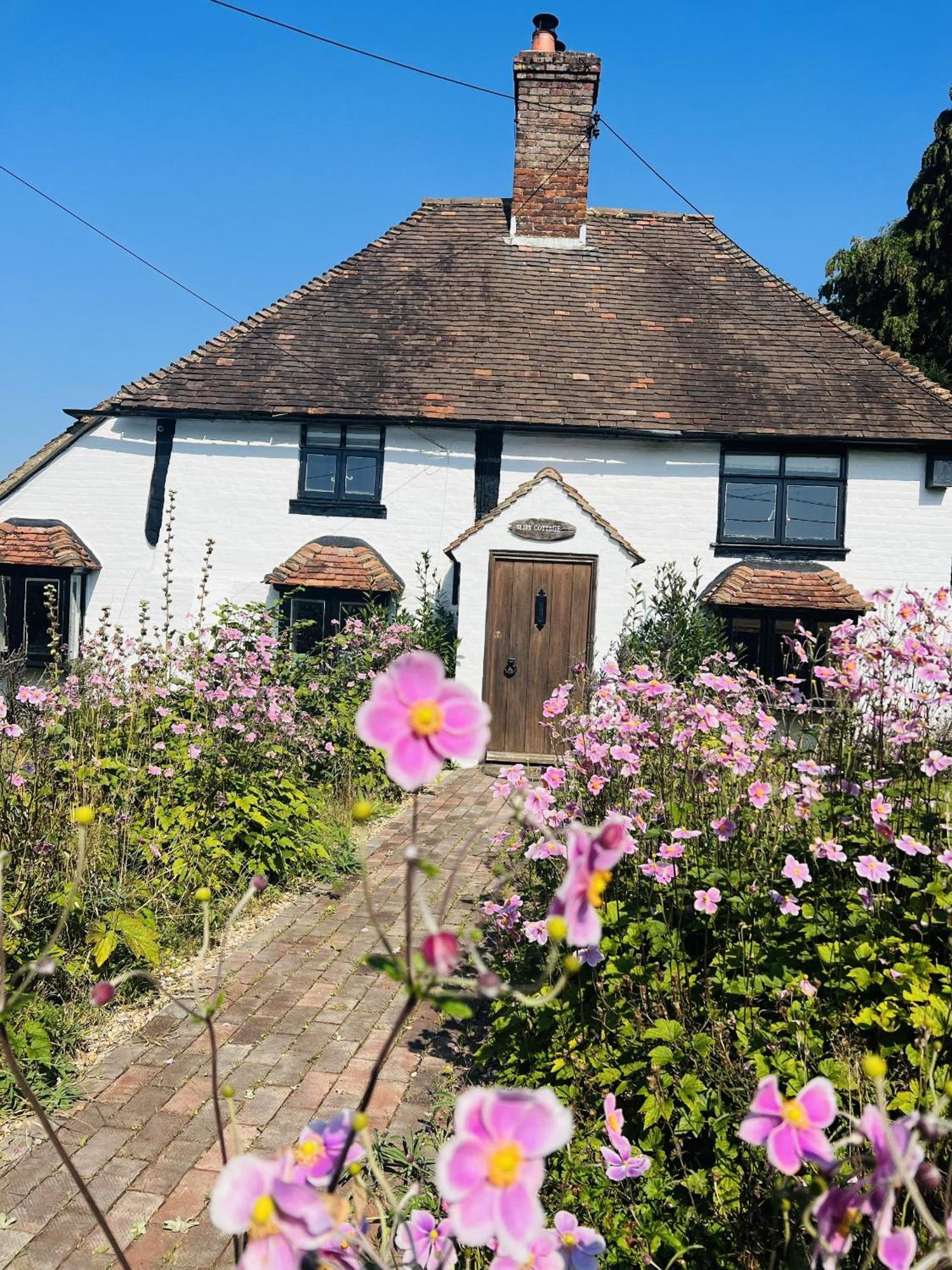 Willa Local Walks Pub Gardens Pet Friendly Landscaped Gardens And Free Private Parking Doddington  Zewnętrze zdjęcie